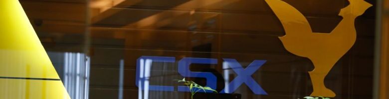 Four SMEs progress in journey to list on CSX, says CEO