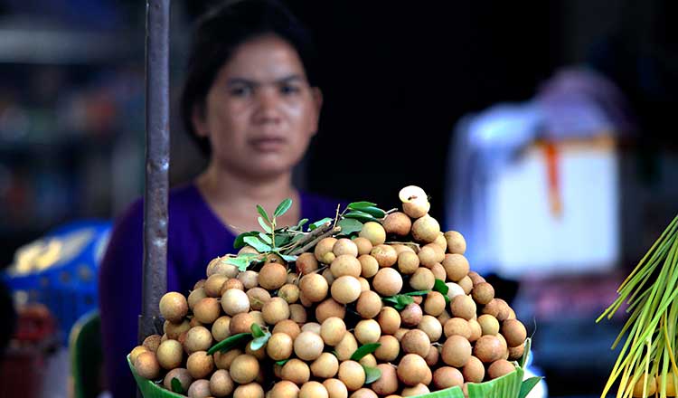 Fresh longan export spiked over 100 percent in first semester